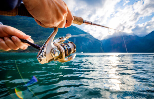 Top Picking and Bottom Fishing All About Timing